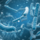 Phage Help Post